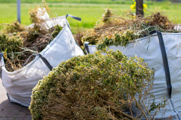 Best Trash Removal Near Me  in Treasure Lake, PA